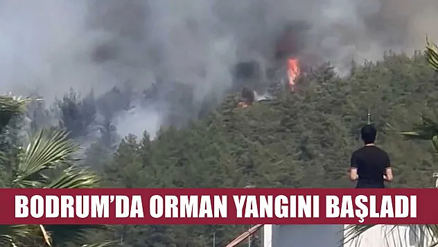 Bodrum'da orman yangını başladı