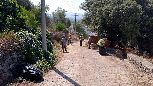 Bodrum'da ot temizliği çalışmaları sürüyor