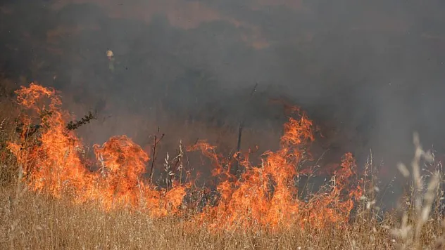 Bodrum'da otluk alanda çıkan yangın 5 dekarlık alanı küle çevirdi