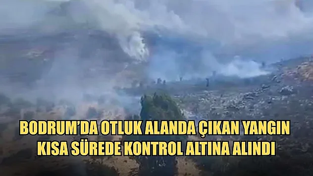 Bodrum'da otluk alanda çıkan yangın kısa sürede kontrol altına alındı