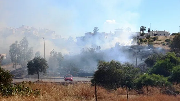 Bodrum'da otluk alanda çıkan yangın korkuttu