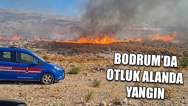 Bodrum'da otluk alanda yangın