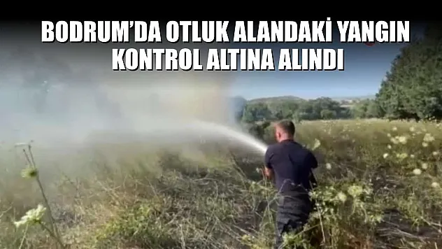 Bodrum'da otluk alandaki yangın kontrol altına alındı