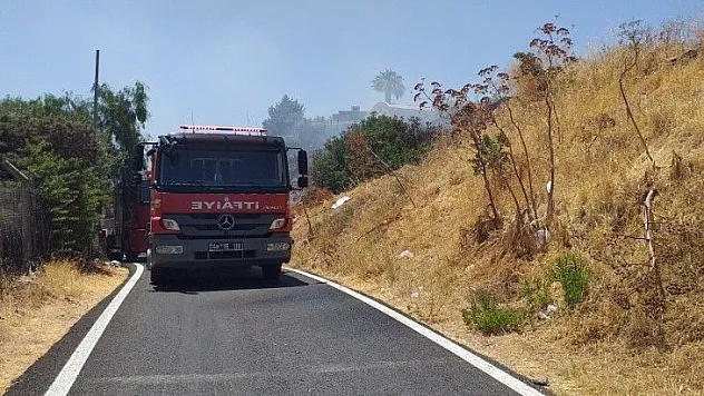 Bodrum'da otluk ve makilik alanda yangın çıktı