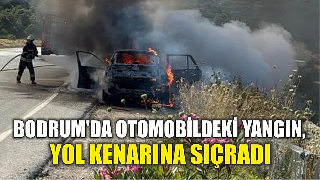 Bodrum'da otomobildeki yangın, yol kenarına sıçradı