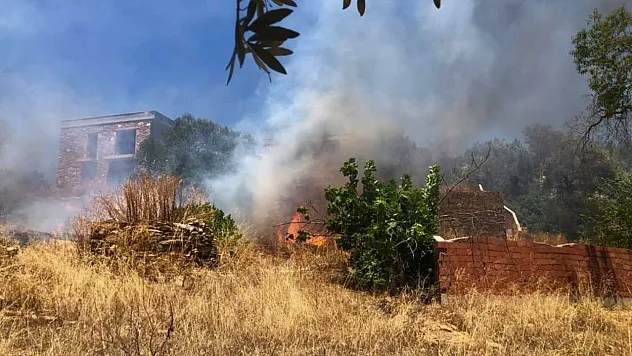 Bodrum'da rüzgarın büyüttüğü yangın 1 saatte söndürüldü