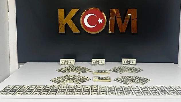 Bodrum'da sahte dolar operasyonu: 46 bin 200 dolar ele geçirildi