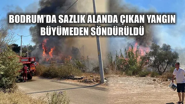 Bodrum'da Sazlık Alanda Çıkan Yangın Büyümeden Söndürüldü