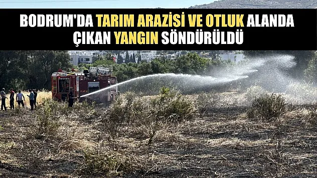 Bodrum'da tarım arazisi ve otluk alanda çıkan yangın söndürüldü