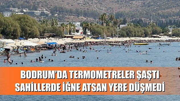 Bodrum'da termometreler şaştı, sahillerde iğne atsan yere düşmedi