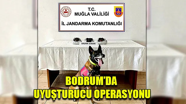 Bodrum'da Uyuşturucu Operasyonu