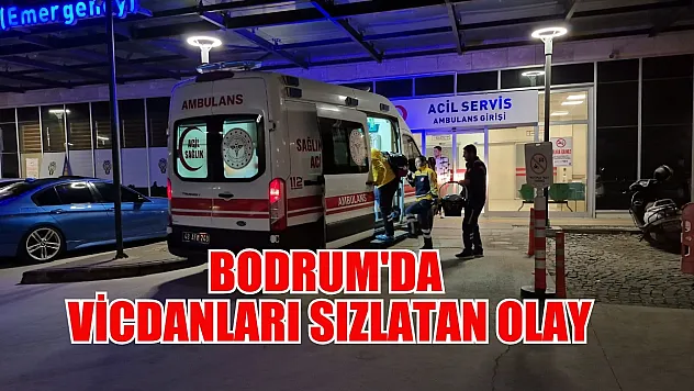 Bodrum'da vicdanları sızlatan olay