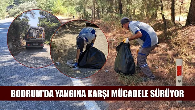 Bodrum'da yangına karşı mücadele sürüyor