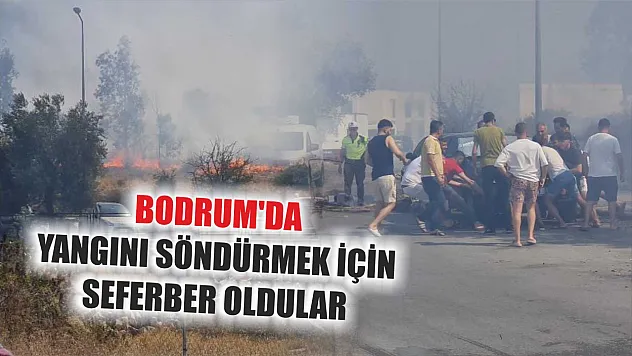 Bodrum'da Yangını söndürmek için seferber oldular