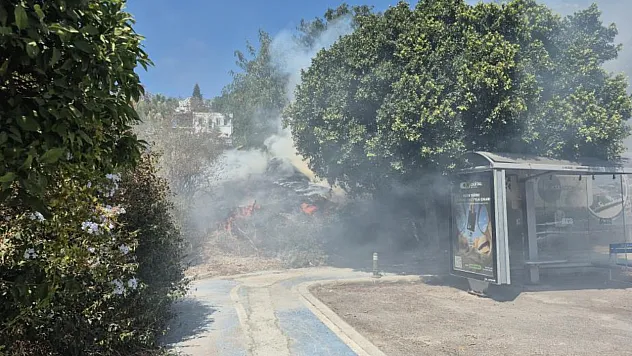 Bodrum'daki yangın büyümeden söndürüldü