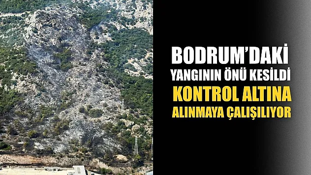 Bodrum'daki yangının önü kesildi, kontrol altına alınmaya çalışılıyor