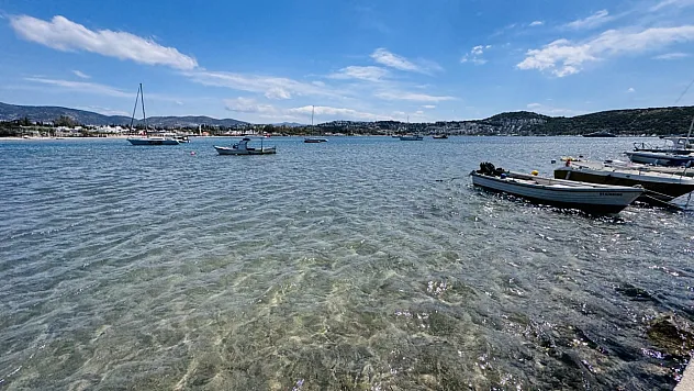 Bodrum kıyılarındaki deniz çayırlarının korunması çağrısı