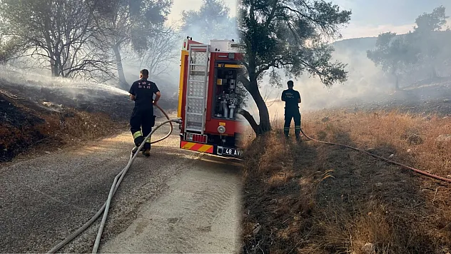Bodrum-Milas karayolu üzerinde ot yangını