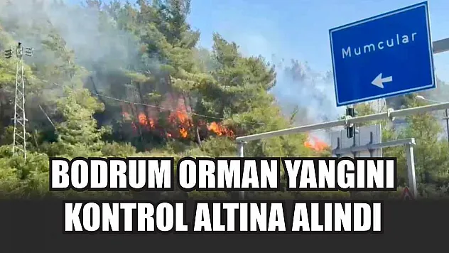 Bodrum orman yangını kontrol altına alındı
