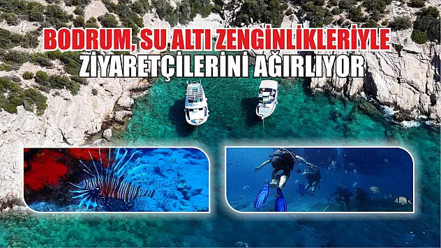 Bodrum, su altı zenginlikleriyle ziyaretçilerini ağırlıyor