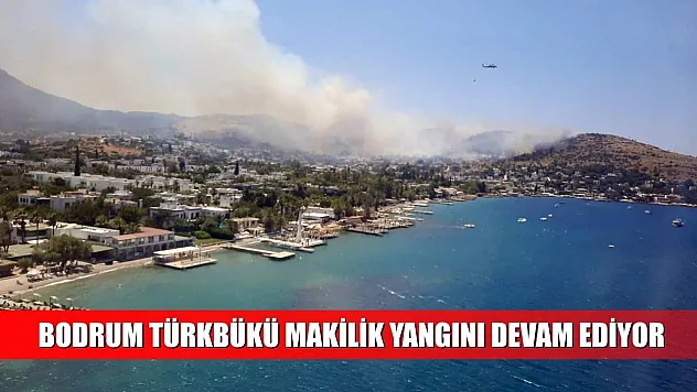Bodrum Türkbükü makilik yangını devam ediyor