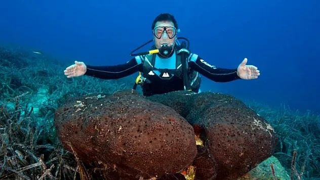 BODRUM'UN SUALTI ZENGİNLİKLERİ BELGESEL OLUYOR  