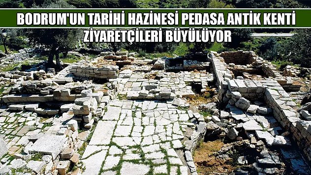 Bodrum'un tarihi hazinesi Pedasa Antik Kenti ziyaretçileri büyülüyor