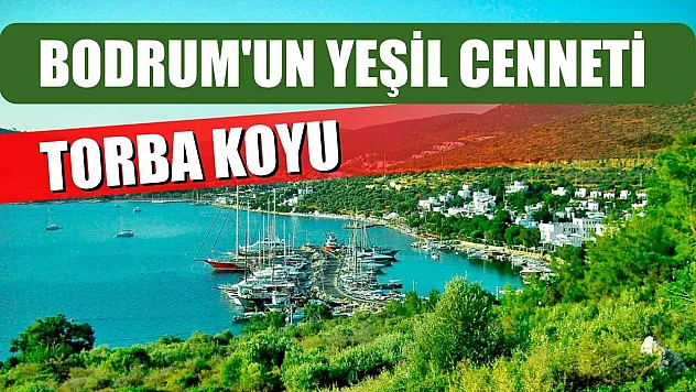 Bodrum'un Yeşil Cenneti: Torba Koyu