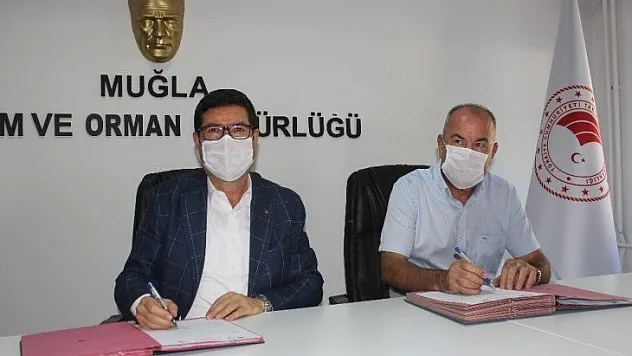 Bodrum ve Milas'ta deniz kıyılarını, kültür balıkçıları temizleyecek