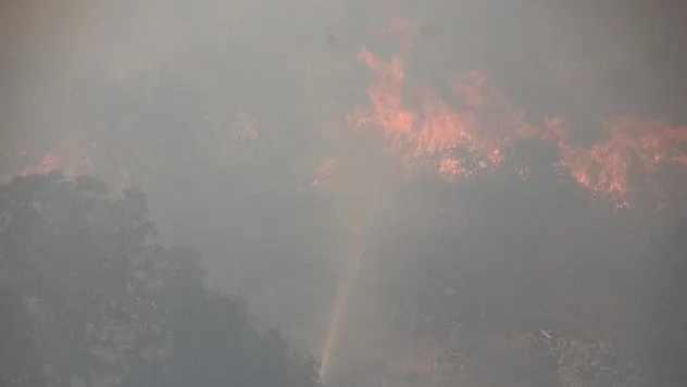 Bodrum yeniden alevlere teslim oldu