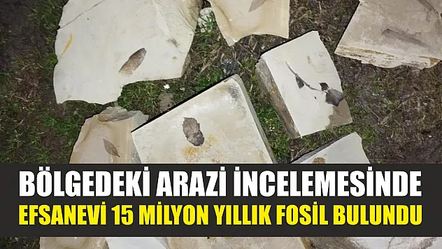 Bölgedeki arazi incelemesinde efsanevi 15 milyon yıllık fosil bulundu