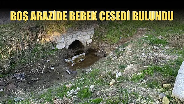 Boş arazide bebek cesedi bulundu