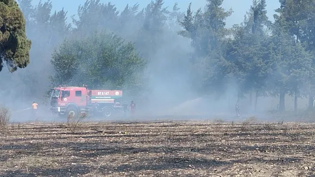 Boş arazide çıkan yangın ormanlık alana sıçradı