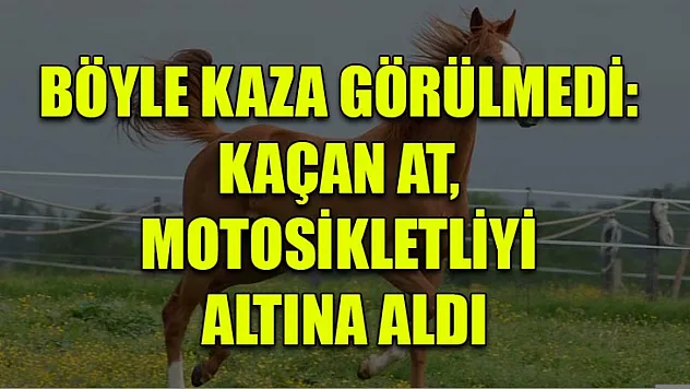 Böyle Kaza Görülmedi: Kaçan At, Motosikletliyi Altına Aldı
