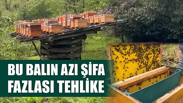 Bu balın azı şifa, fazlası tehlike