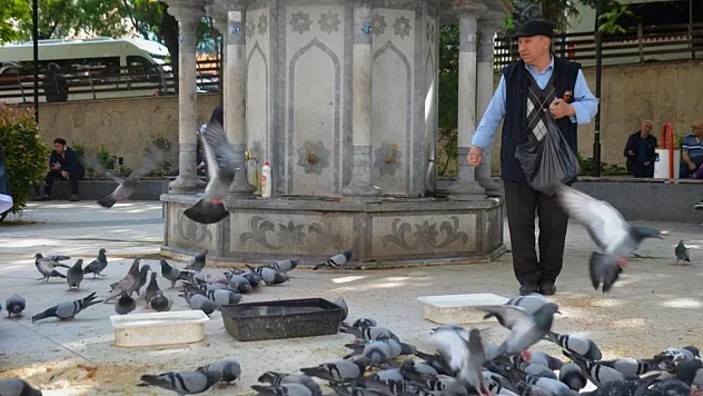 Bu bayramda eşini dostunu bıraktı, beslediği kuşlara koştu