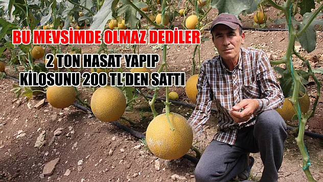 Bu mevsimde olmaz dediler, 2 ton hasat yapıp kilosunu 200 TL'den sattı