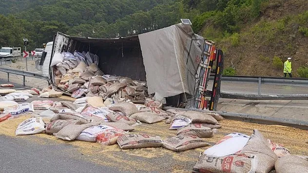 Buğday yüklü tır şarampole devrildi