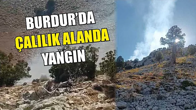 Burdur'da çalılık alanda yangın