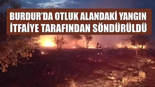 Burdur'da otluk alandaki yangın itfaiye tarafından söndürüldü