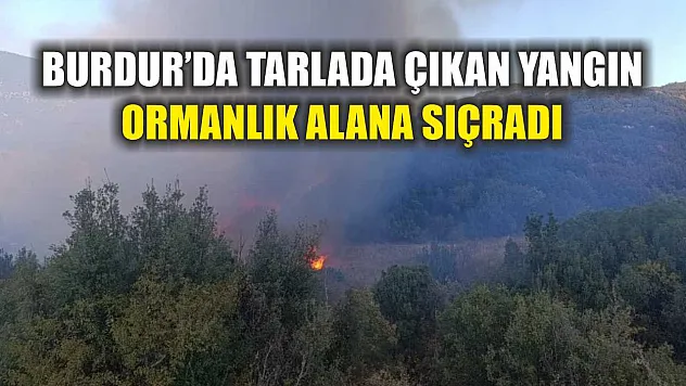Burdur'da tarlada çıkan yangın ormanlık alana sıçradı