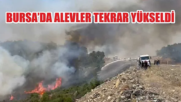 Bursa'da alevler tekrar yükseldi
