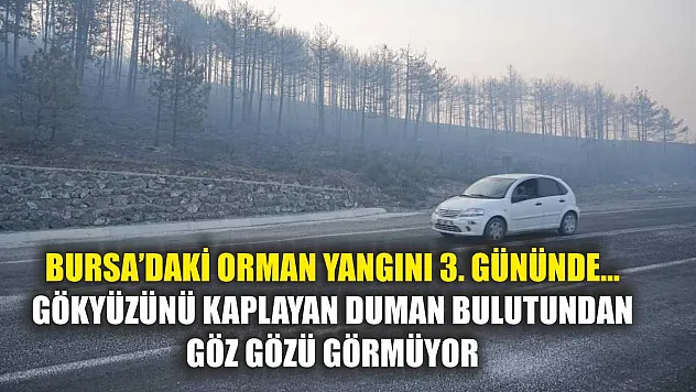 Bursa'daki orman yangını 3. gününde... Gökyüzünü kaplayan duman bulutundan göz gözü görmüyor