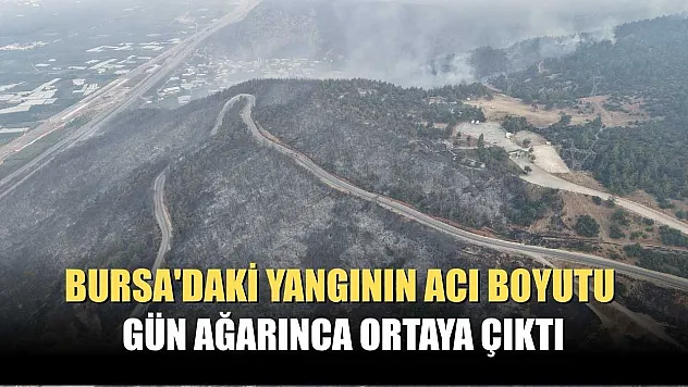 Bursa'daki yangının acı boyutu gün ağarınca ortaya çıktı