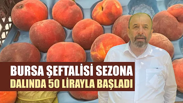 Bursa şeftalisi sezona dalında 50 lirayla başladı