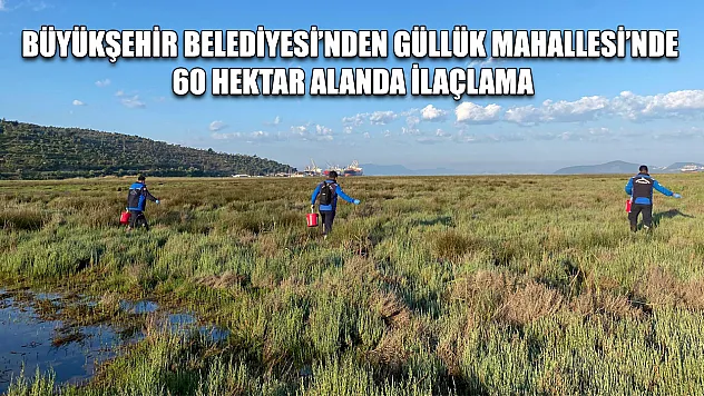 Büyükşehir Belediyesi'nden Güllük Mahallesi'nde 60 Hektar Alanda İlaçlama