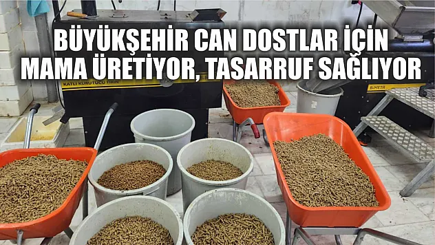 Büyükşehir Can dostlar İçin Mama Üretiyor, Tasarruf Sağlıyor