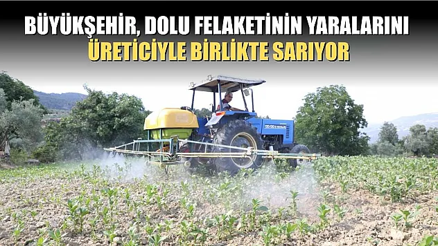 Büyükşehir, Dolu Felaketinin Yaralarını Üreticiyle Birlikte Sarıyor