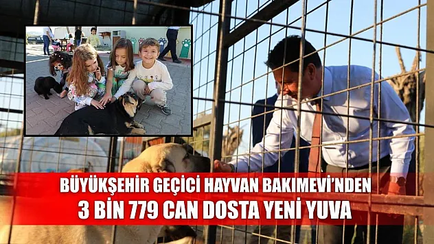 Büyükşehir Geçici Hayvan Bakımevi'nden 3 Bin 779 Can Dosta Yeni Yuva