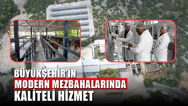 Büyükşehir'in Modern Mezbahalarında Kaliteli Hizmet